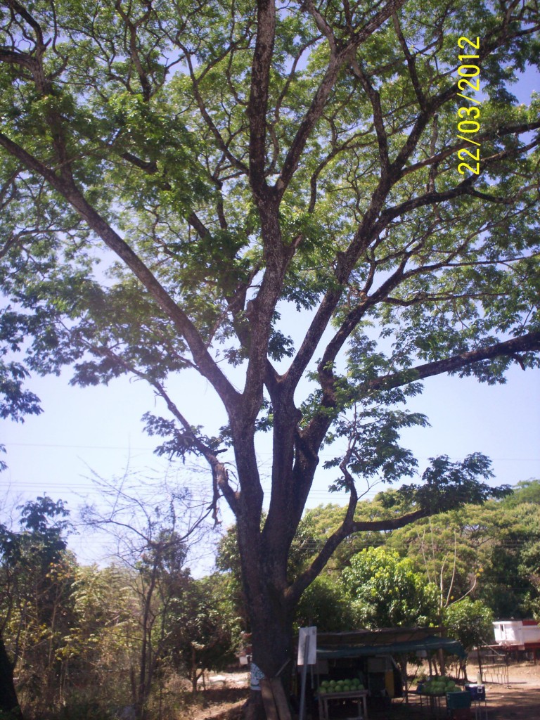 Foto de Liberia (Guanacaste), Costa Rica
