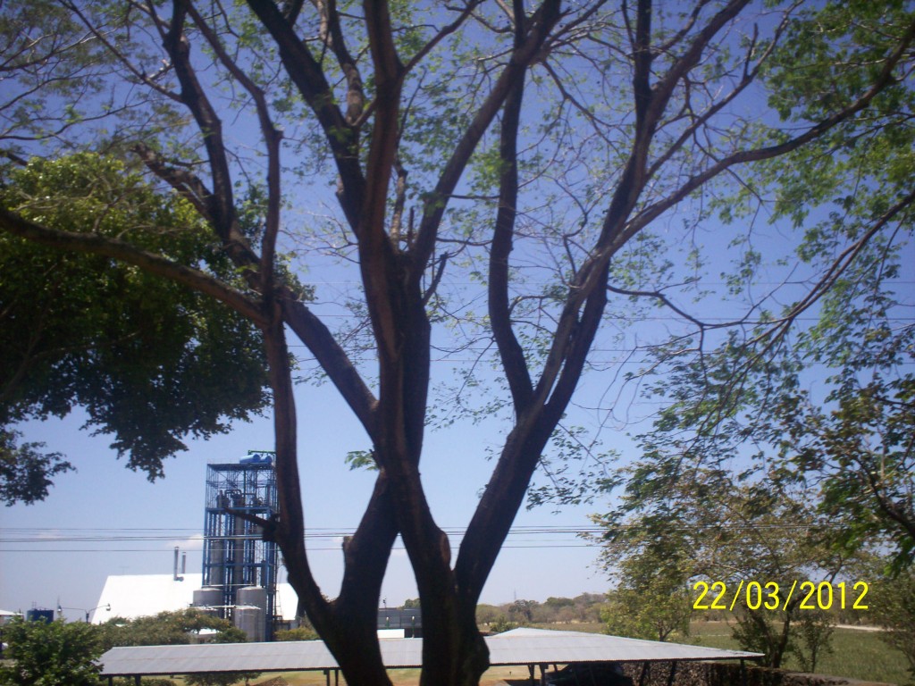 Foto de Liberia (Guanacaste), Costa Rica