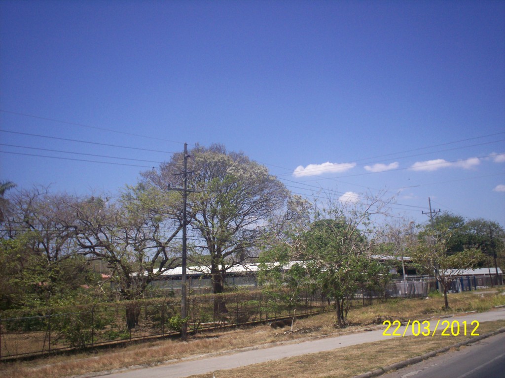 Foto de Liberia (Guanacaste), Costa Rica