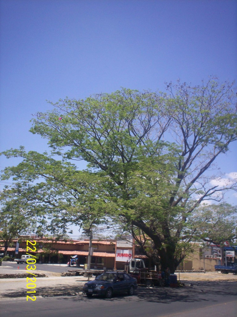 Foto de Liberia (Guanacaste), Costa Rica