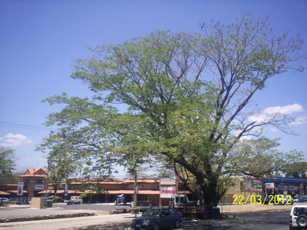 Foto de Liberia (Guanacaste), Costa Rica