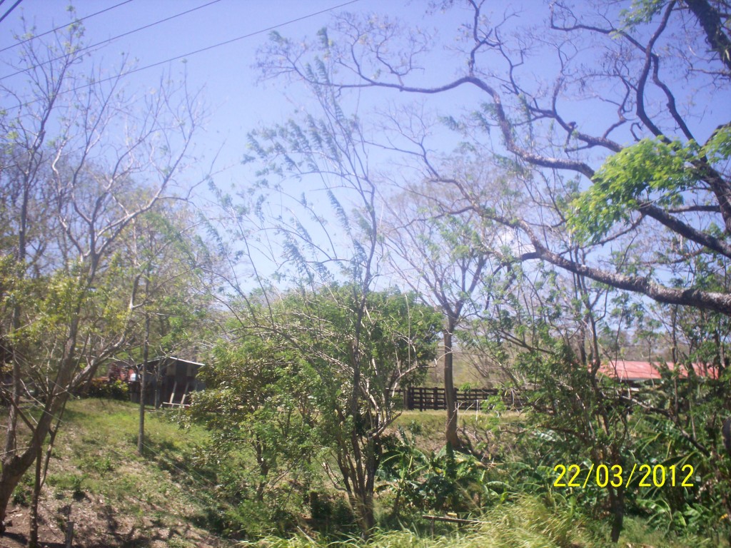 Foto de Liberia (Guanacaste), Costa Rica