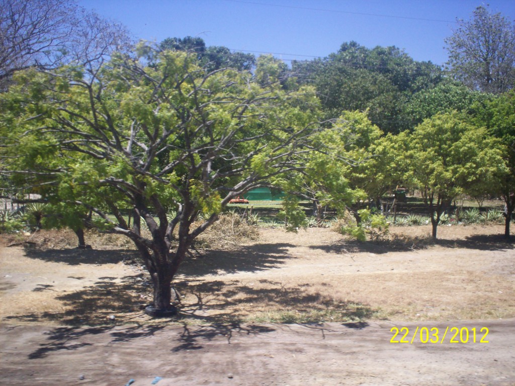 Foto de Liberia (Guanacaste), Costa Rica
