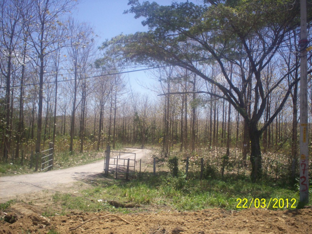 Foto de Liberia (Guanacaste), Costa Rica