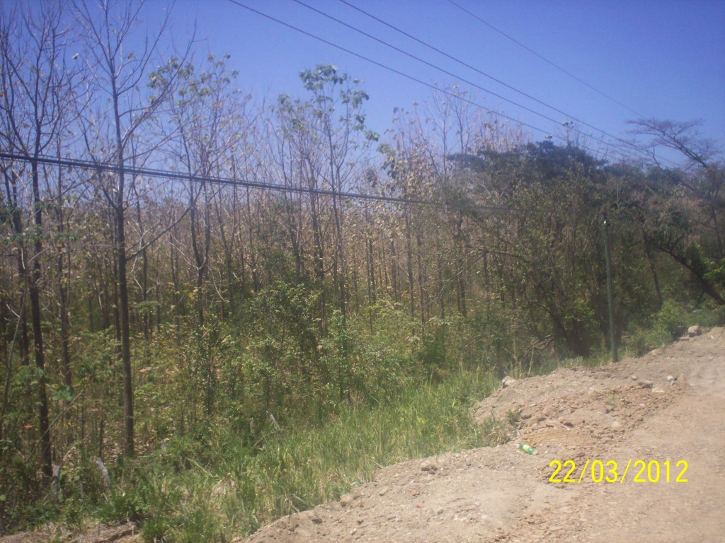 Foto de Liberia (Guanacaste), Costa Rica