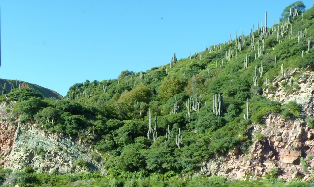Foto: Camino a Cachi. Parador El Maray. - Cachi (Salta), Argentina