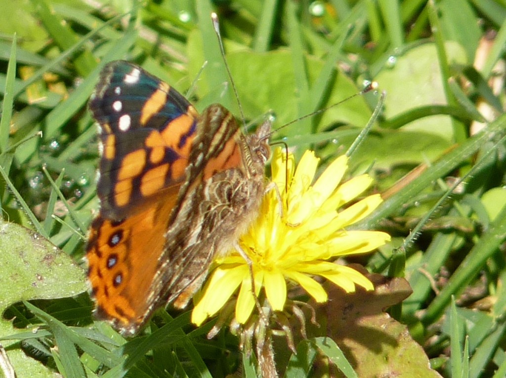 Foto: Camino a Cachi. Parador El Maray. - Cachi (Salta), Argentina