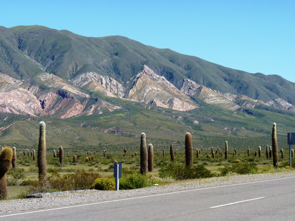 Foto: Parque Nacional Los Cardones. - Cachi (Salta), Argentina