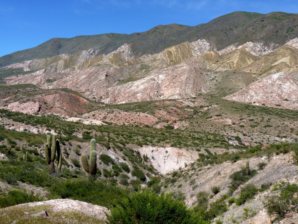 Foto: Parque Nacional Los Cardones. - Cachi (Salta), Argentina