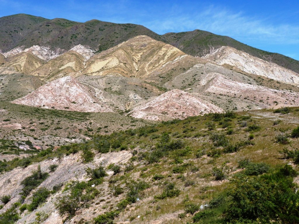 Foto: Parque Nacional Los Cardones. - Cachi (Salta), Argentina