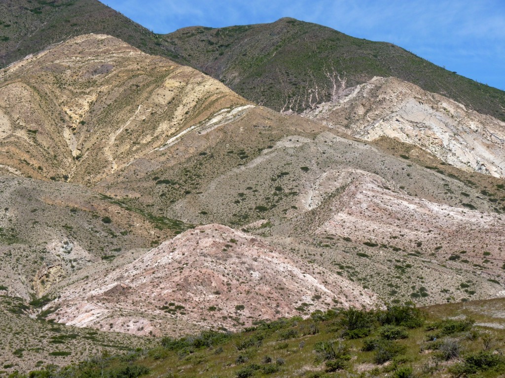 Foto: Parque Nacional Los Cardones. - Cachi (Salta), Argentina