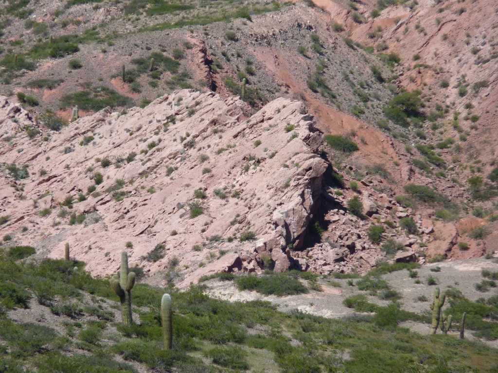 Foto: P. N. Los Cardones. - Cachi (Salta), Argentina