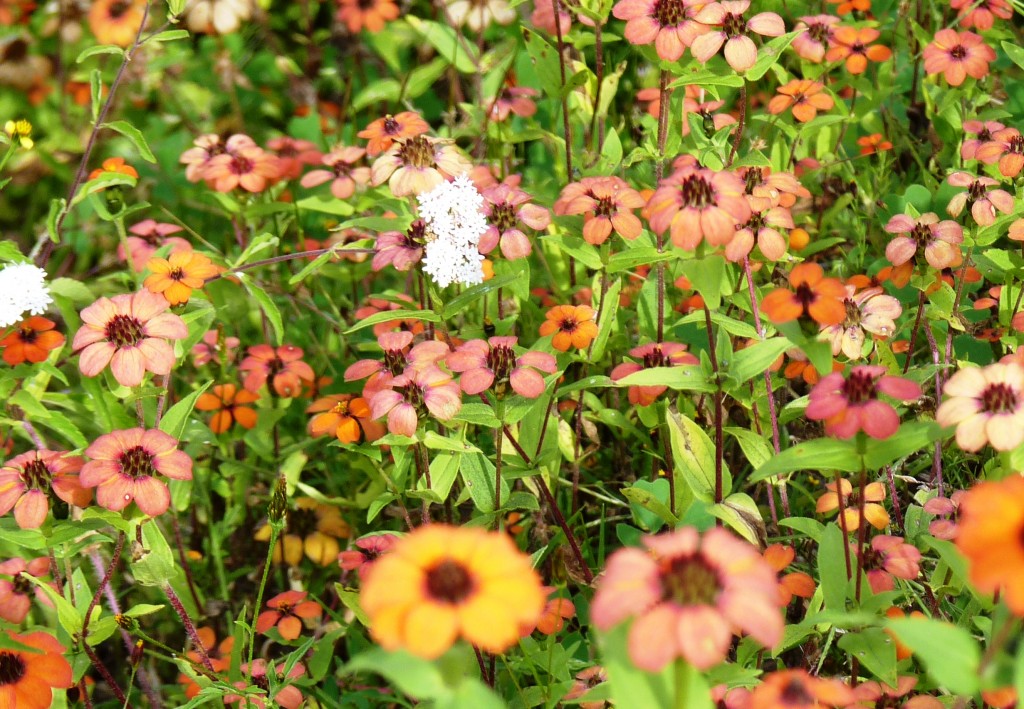 Foto de Cachi (Salta), Argentina