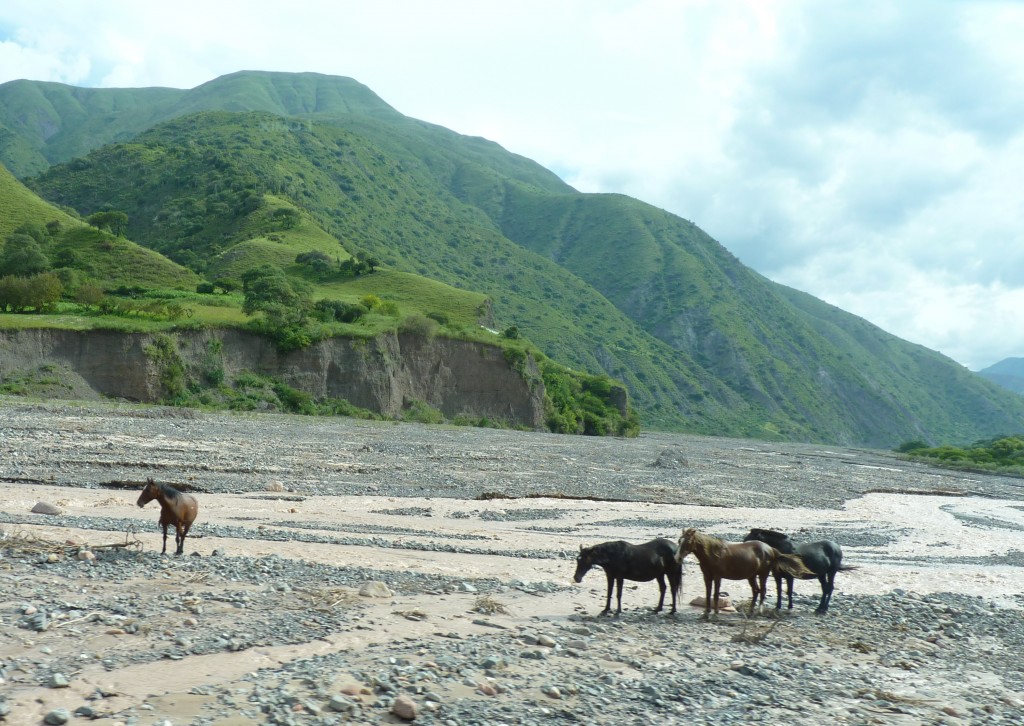 Foto de Cachi (Salta), Argentina