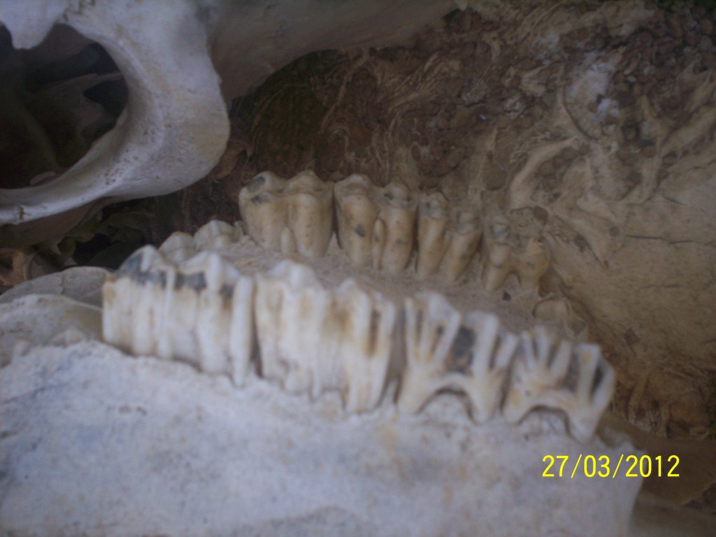 Foto: MUSEO - Alajuela, Costa Rica