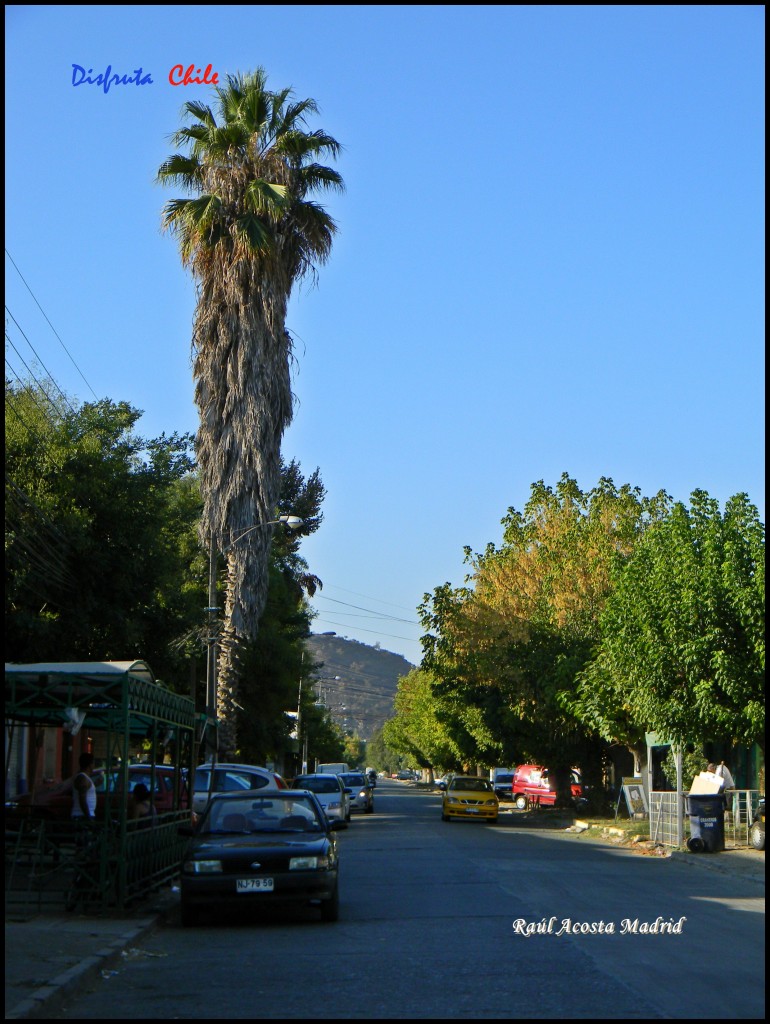 Foto de Graneros (Libertador General Bernardo OʼHiggins), Chile
