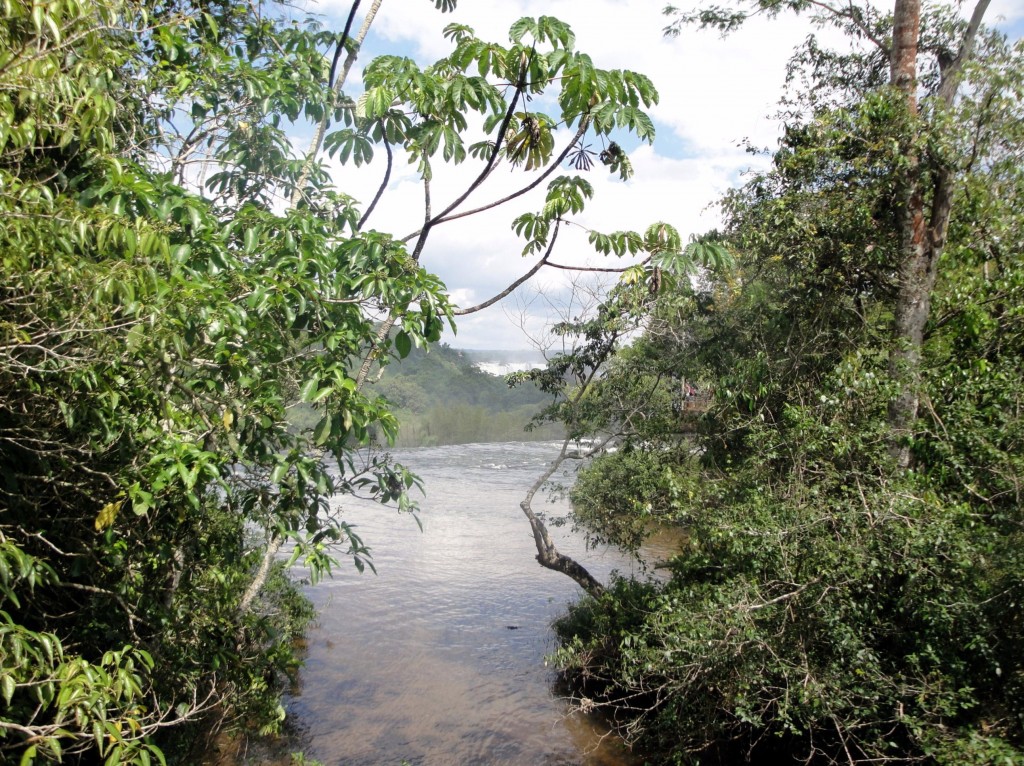 Foto: Circuito Superior - Puerto Iguazú (Misiones), Argentina