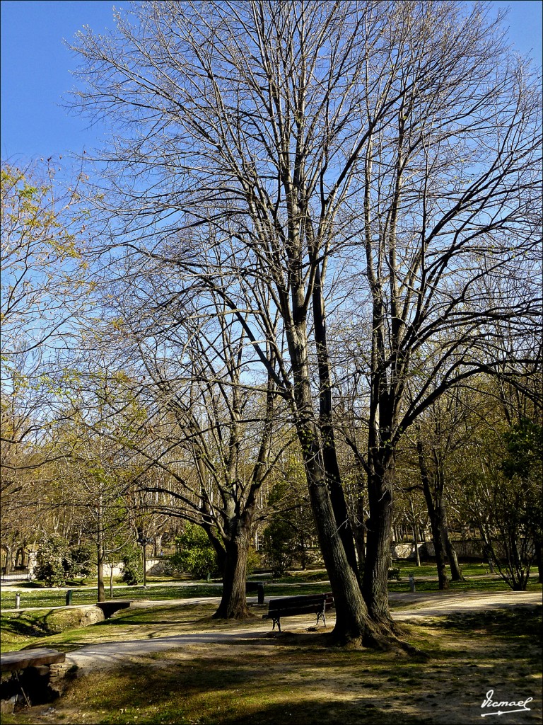 Foto: 120328-12 PARQUE ZARAGOZA - Zaragoza (Aragón), España