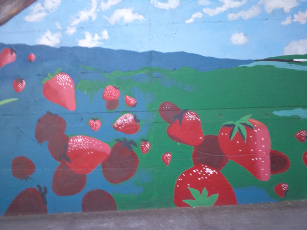 Foto de San Martin (Alajuela), Costa Rica