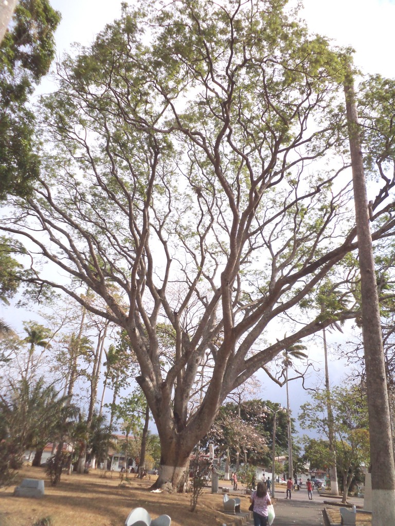 Foto: PAISAJES - Alajuela, Costa Rica