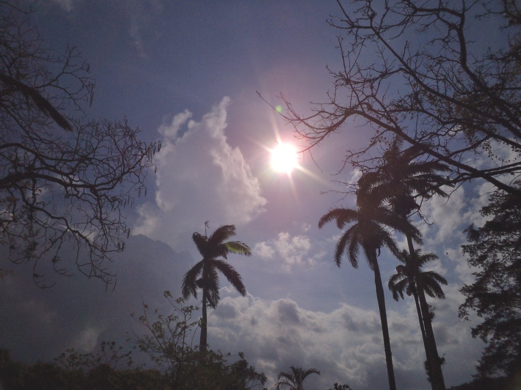 Foto: PAISAJES - Alajuela, Costa Rica