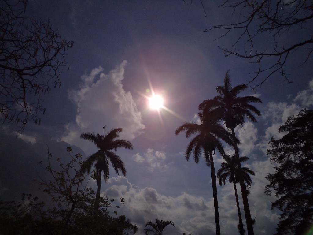 Foto: PAISAJES - Alajuela, Costa Rica