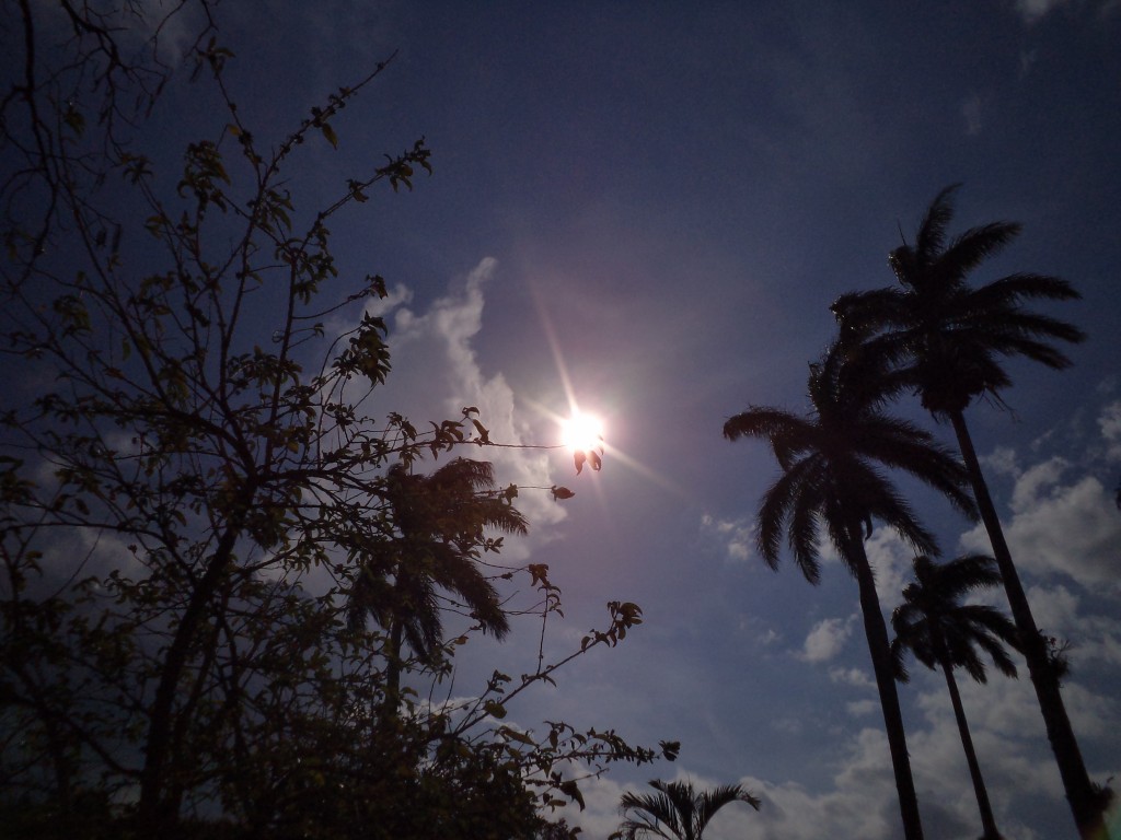 Foto de Alajuela, Costa Rica