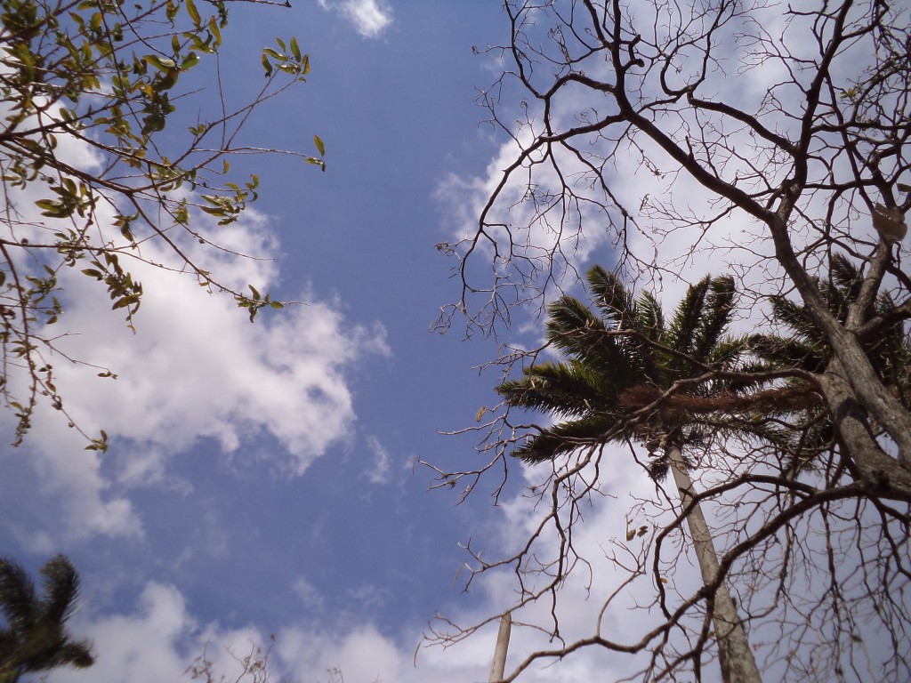 Foto de Alajuela, Costa Rica