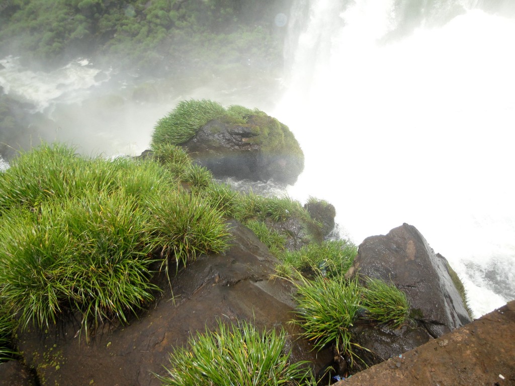Foto: Circuito Superior - Puerto Iguazú (Misiones), Argentina
