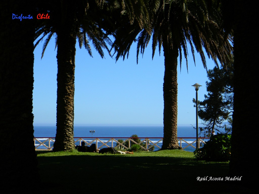 Foto de Pichilemu (Libertador General Bernardo OʼHiggins), Chile