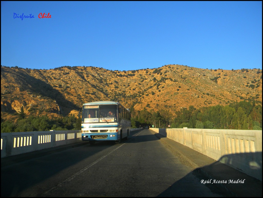 Foto de Peumo (Libertador General Bernardo OʼHiggins), Chile