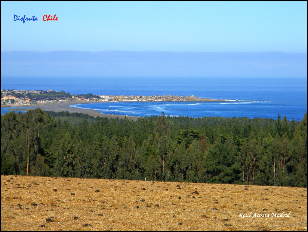 Foto de Pichilemu (Libertador General Bernardo OʼHiggins), Chile
