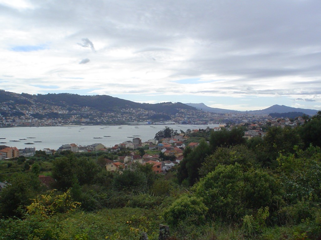 Foto: Ría de Vigo - Domayo (Moaña) (Pontevedra), España