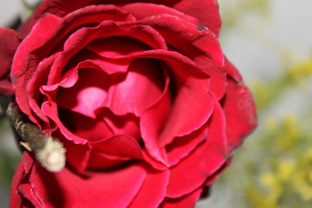 Foto de Tapachula (Chiapas), México