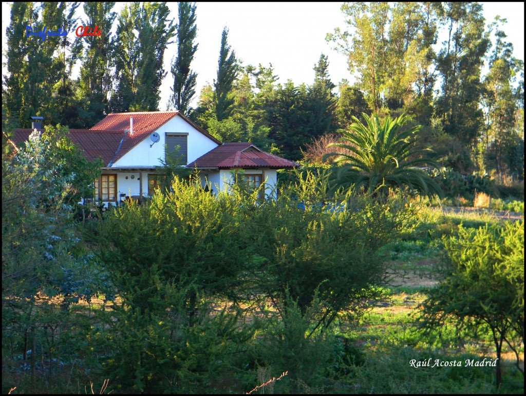 Foto de Marchigüe (Libertador General Bernardo OʼHiggins), Chile