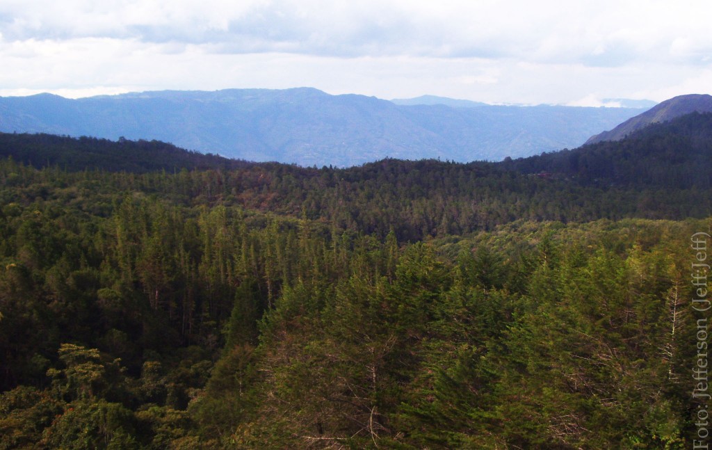 Foto de Medellín (Antioquia), Colombia