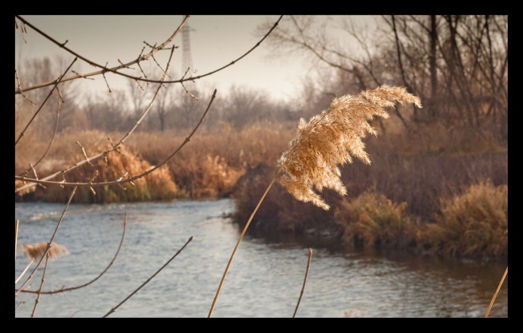 Foto: Ribera del Gállego - Cinturon verde de Zaragoza a San Juan (Zaragoza), España