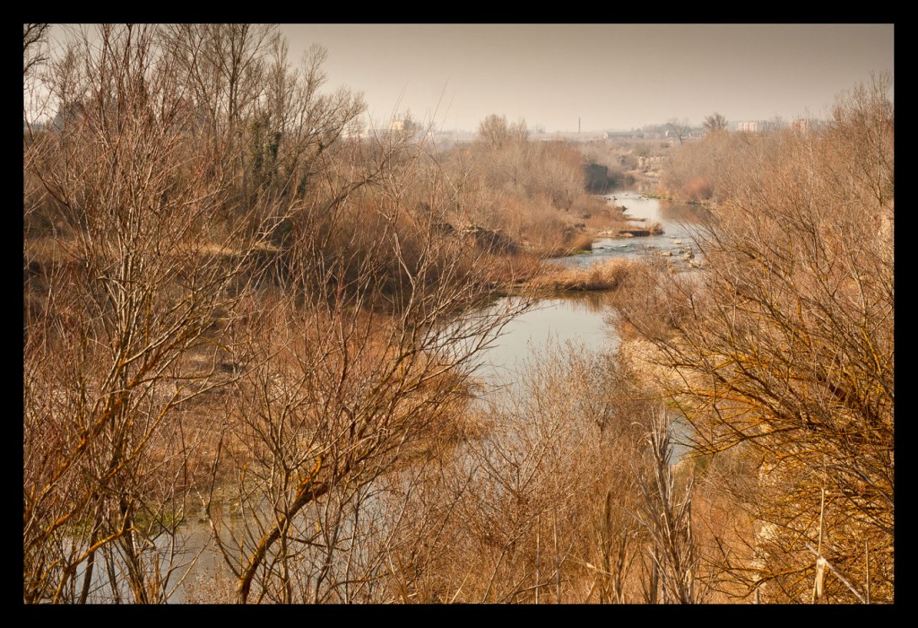 Foto: Ribera del Gállego - Cinturon verde de Zaragoza a San Juan (Zaragoza), España