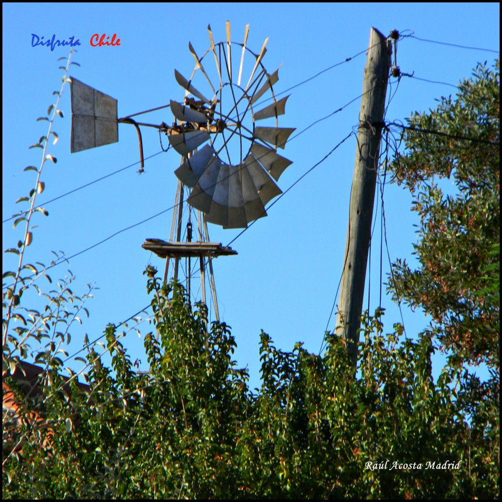 Foto de Marchigüe (Libertador General Bernardo OʼHiggins), Chile