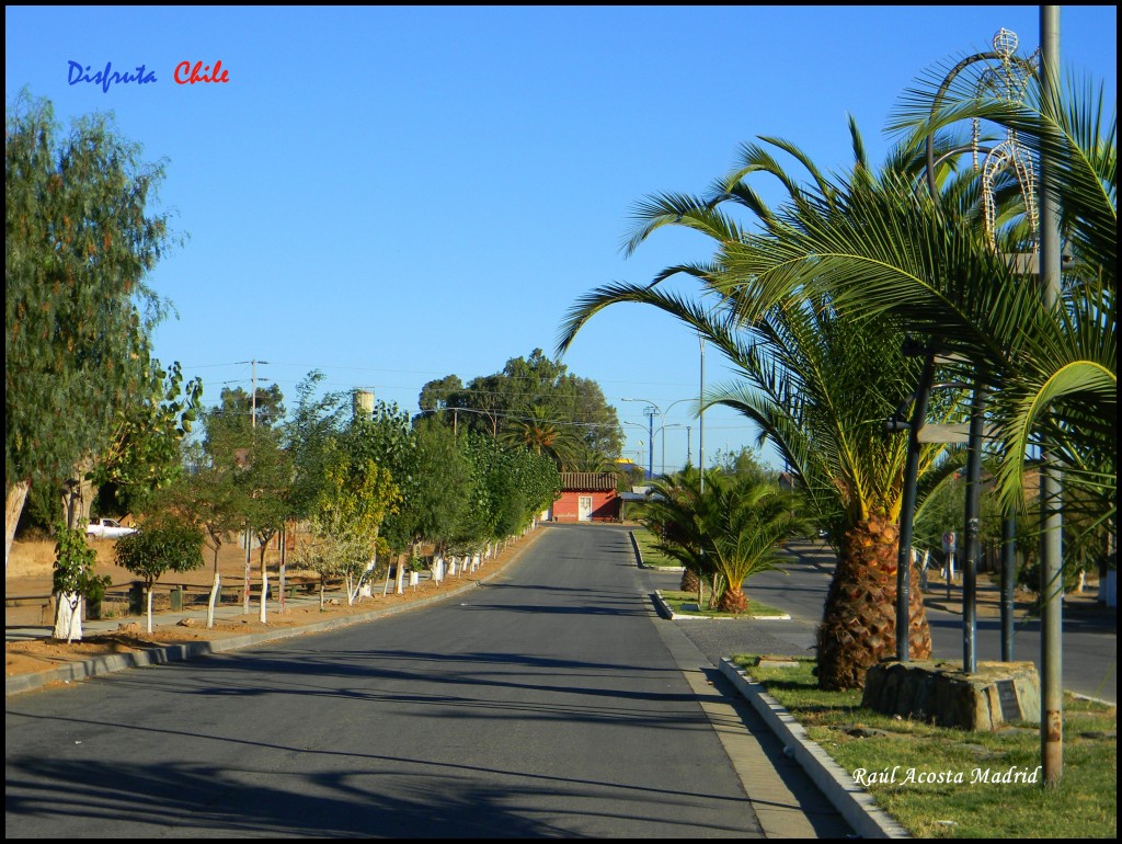 Foto de Marchigüe (Libertador General Bernardo OʼHiggins), Chile