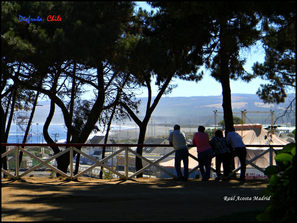 Foto de Pichilemu (Libertador General Bernardo OʼHiggins), Chile