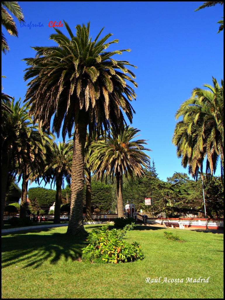 Foto de Pichilemu (Libertador General Bernardo OʼHiggins), Chile