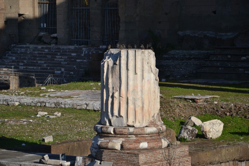 Foto: Foro de Trajano - Roma, Italia
