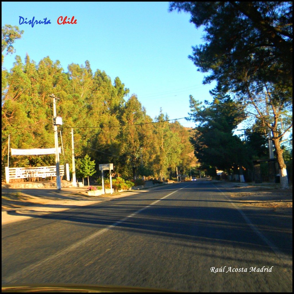 Foto de Pichidegua (Libertador General Bernardo OʼHiggins), Chile
