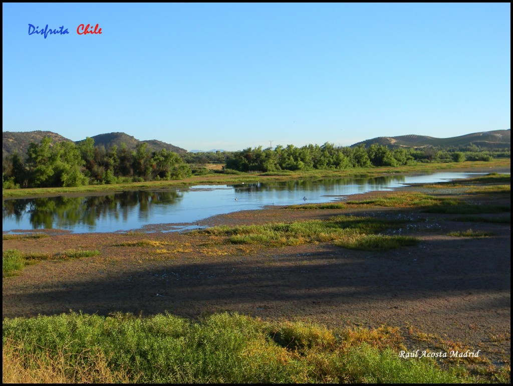 Foto de Marchigüe (Libertador General Bernardo OʼHiggins), Chile