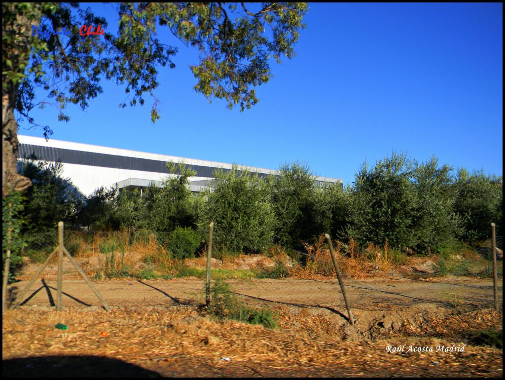 Foto de Marchigüe (Libertador General Bernardo OʼHiggins), Chile