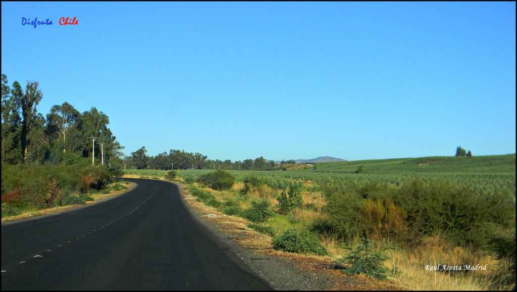 Foto de Marchigüe (Libertador General Bernardo OʼHiggins), Chile
