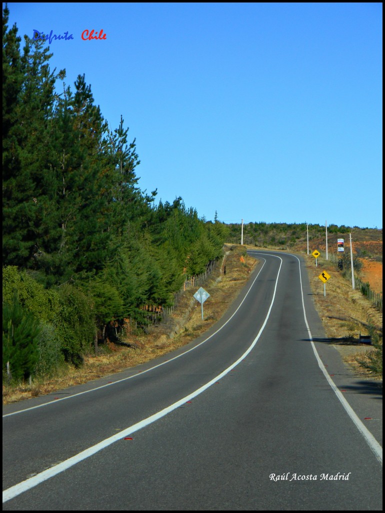 Foto de Marchigüe (Libertador General Bernardo OʼHiggins), Chile