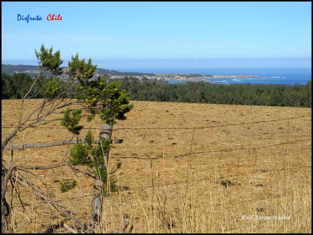 Foto de Pìchilemu (Libertador General Bernardo OʼHiggins), Chile