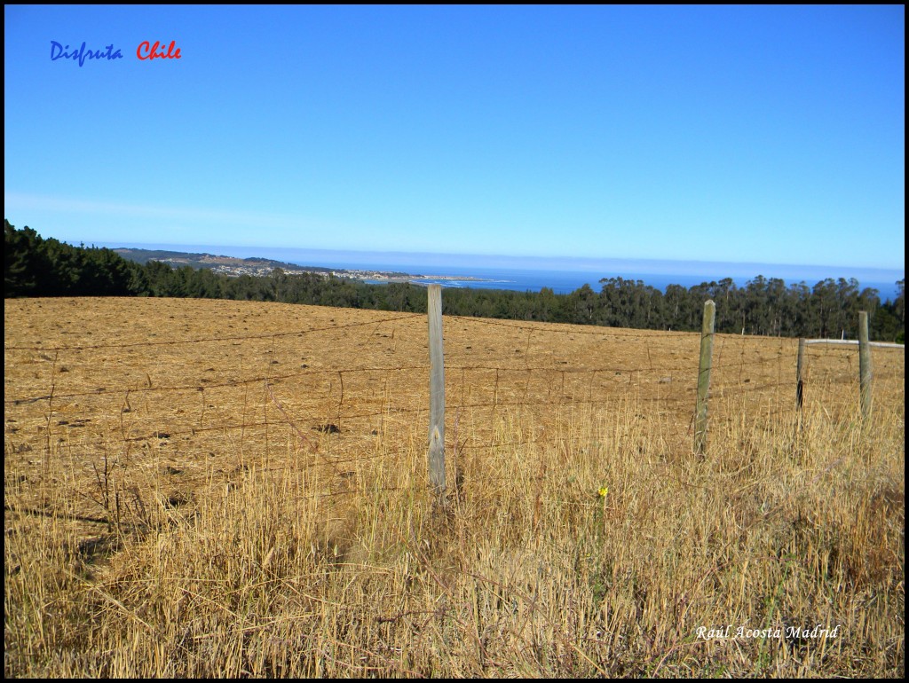 Foto de Pìchilemu (Libertador General Bernardo OʼHiggins), Chile